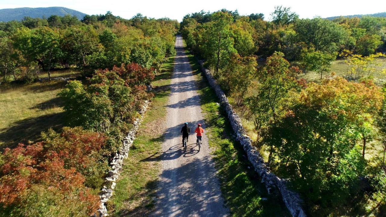 Vila Brinovka Kostanjevica na Krasu Exterior foto